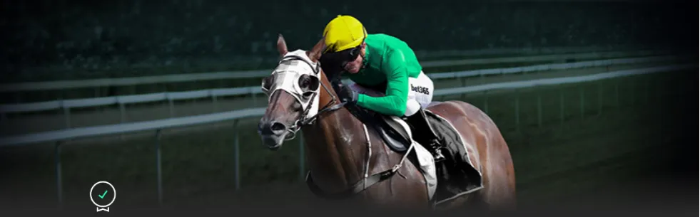 独家揭秘,博格巴伤病,无忧,中欧体育首页,中欧体育官方网站,中欧体育平台,中欧体育